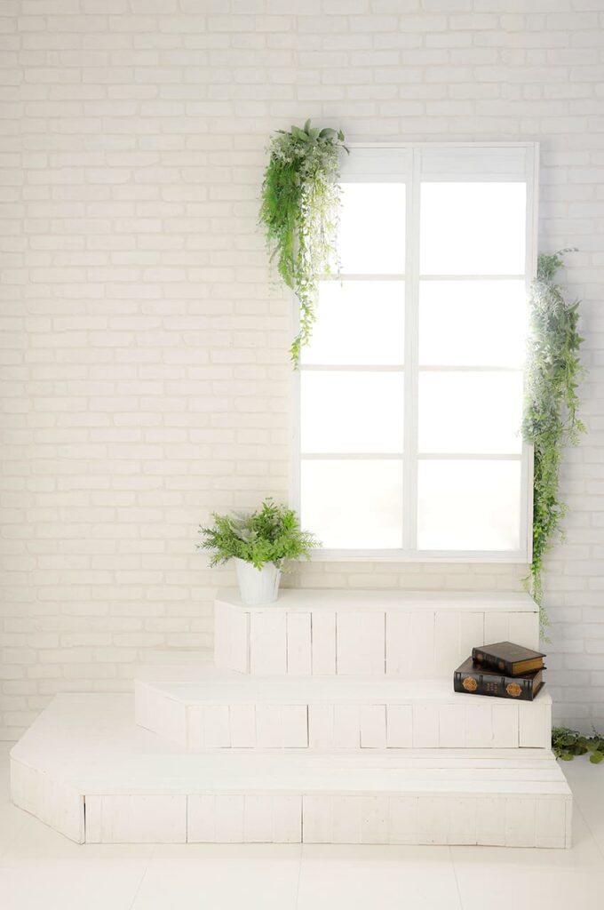 振袖前撮り(成人式)木津川市・精華町・京田辺市_フォトスタジオワタナベ(渡辺写真館)京都木津川店_店舗情報_自然スタジオ